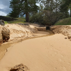 Emily Bay outlet